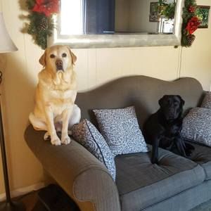 Meet your Posher, Gary